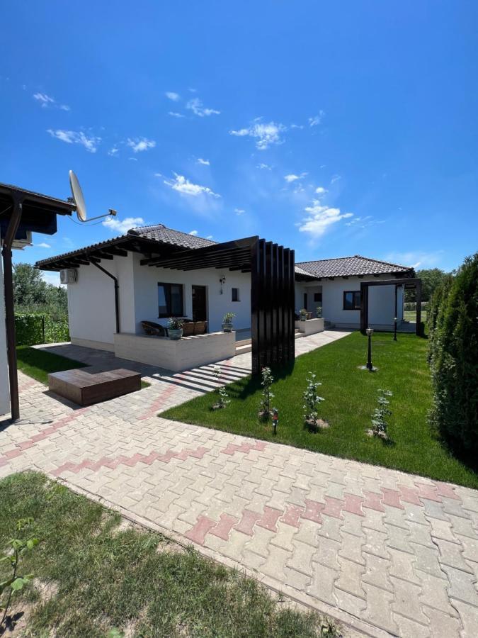 Pensiunea Izora Crisan  Exterior photo